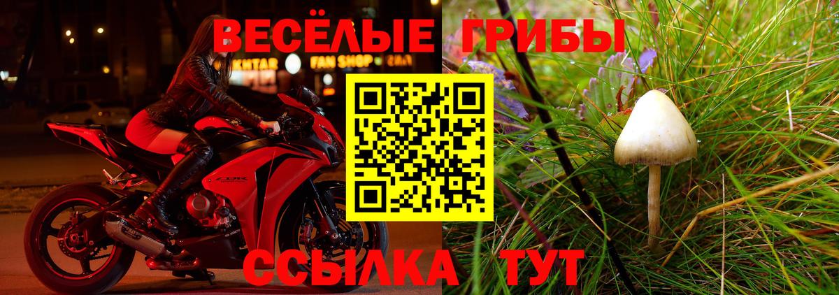 Галлюциногенные грибы Psilocybe  Вход с VPN  Москва 